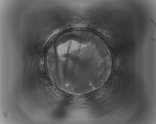 X0000101481254200807211351