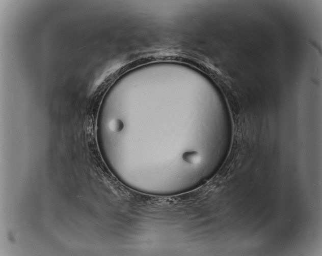 X0000101481255200807211351