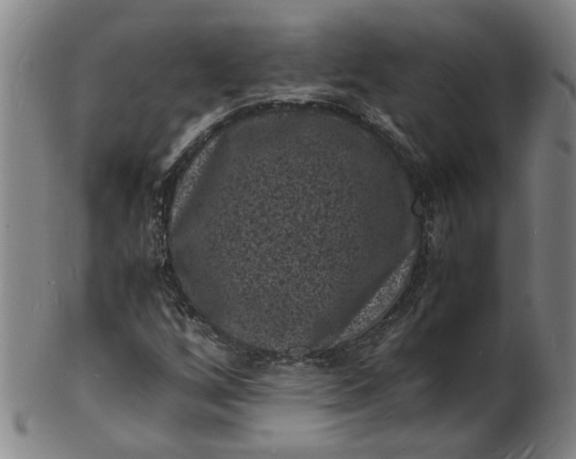 X0000101481256200807211351