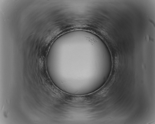 X0000101481257200807211351