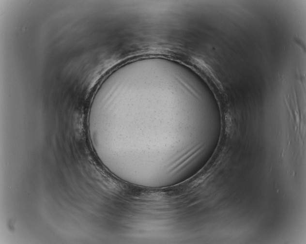 X0000101481260200807211351