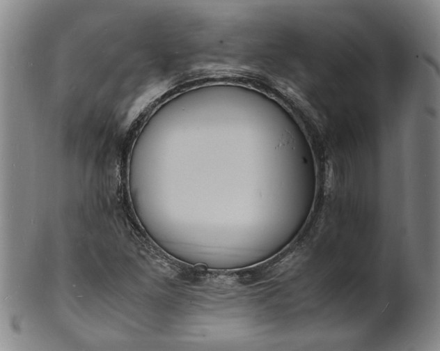 X0000101481261200807211351