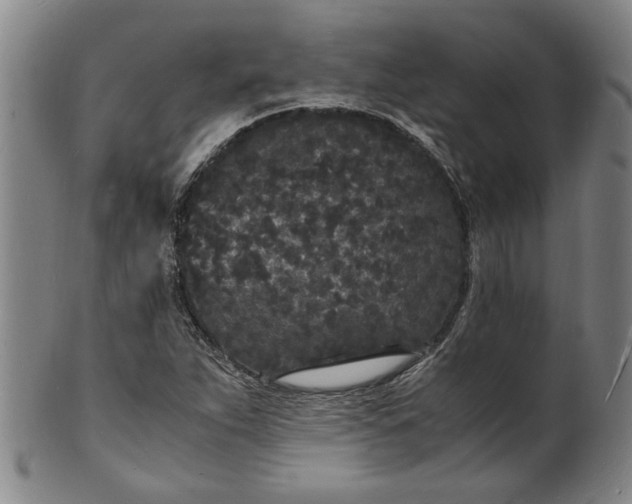 X0000101481263200807211351