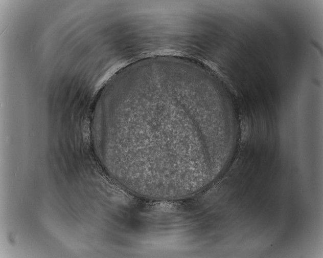 X0000101481266200807211351