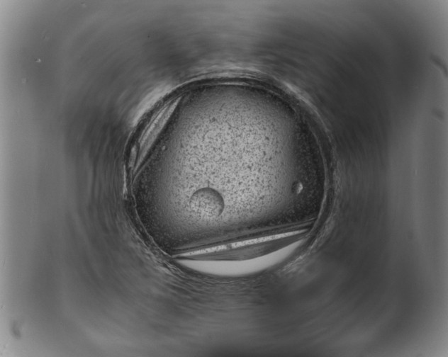 X0000101481267200807211351