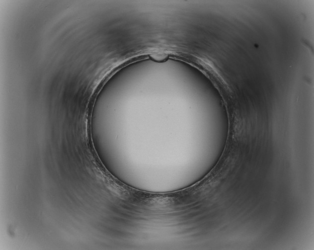 X0000101481268200807211351