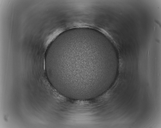 X0000101481269200807211351