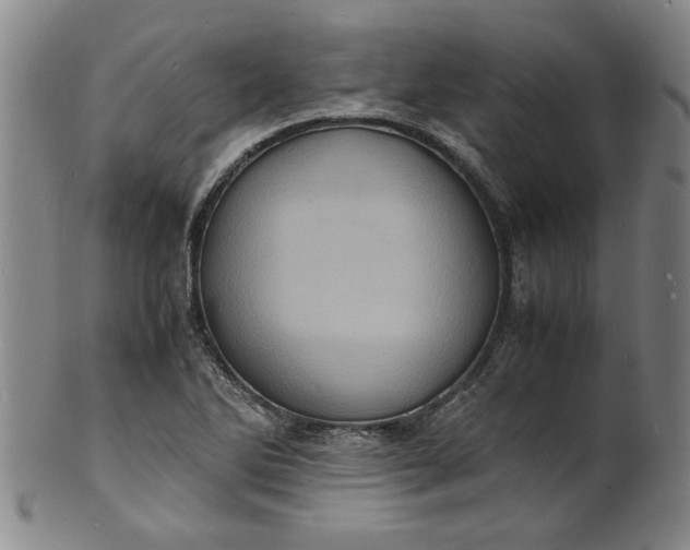 X0000101481270200807211351