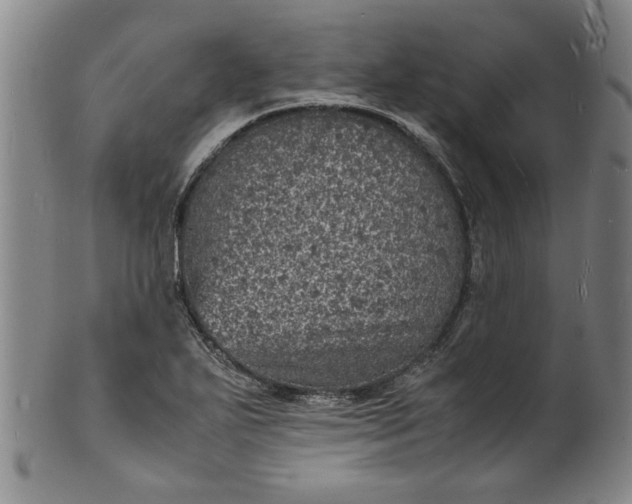 X0000101481271200807211351