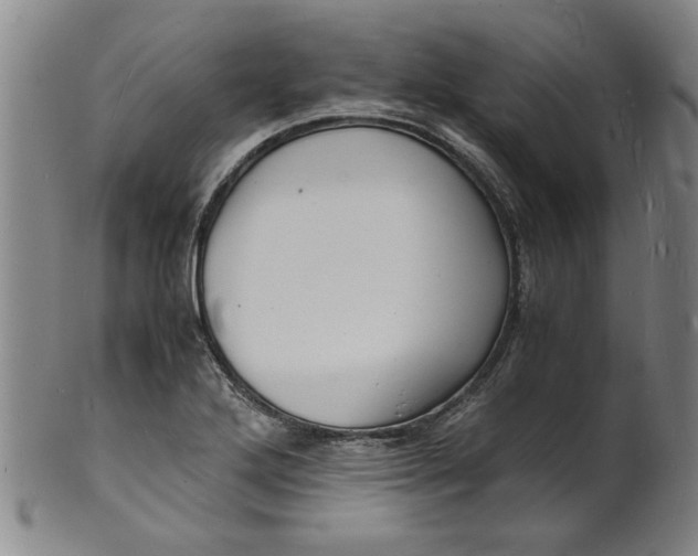 X0000101481272200807211351