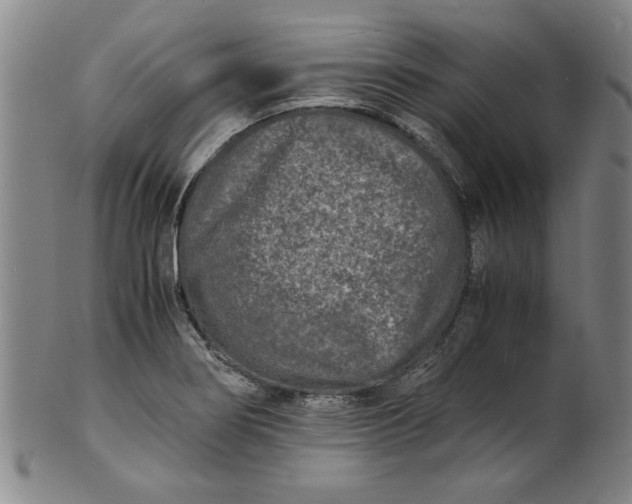 X0000101481274200807211351