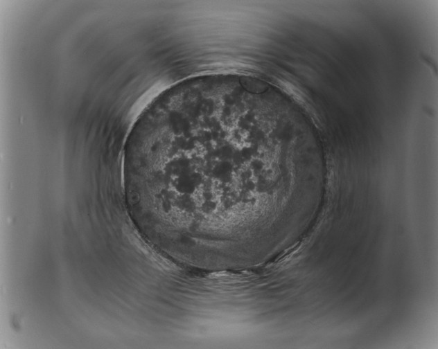 X0000101481275200807211351