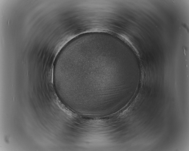 X0000101481276200807211351