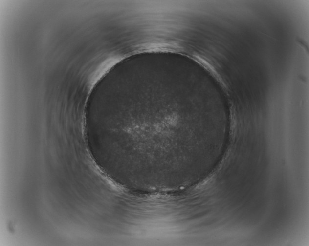 X0000101481277200807211351