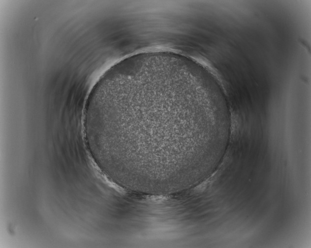 X0000101481278200807211351