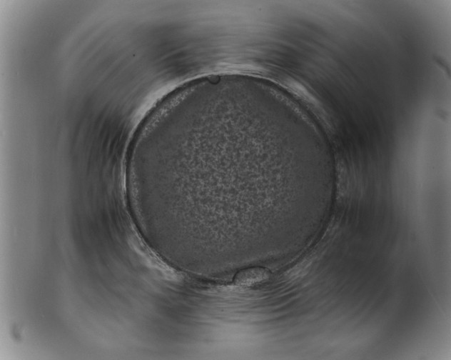 X0000101481280200807211351