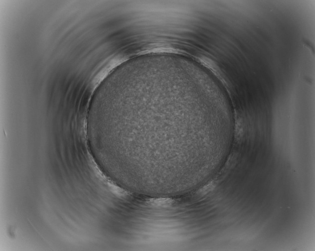 X0000101481282200807211350