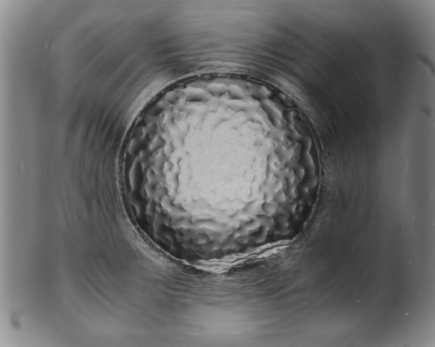 X0000101481283200807211350