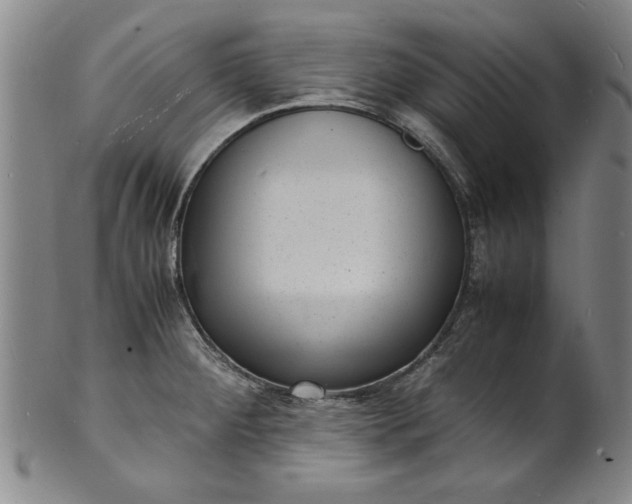 X0000101481284200807211350