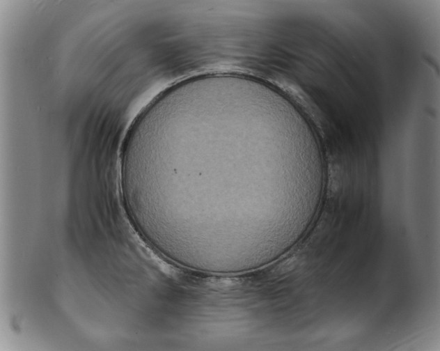 X0000101481286200807211350