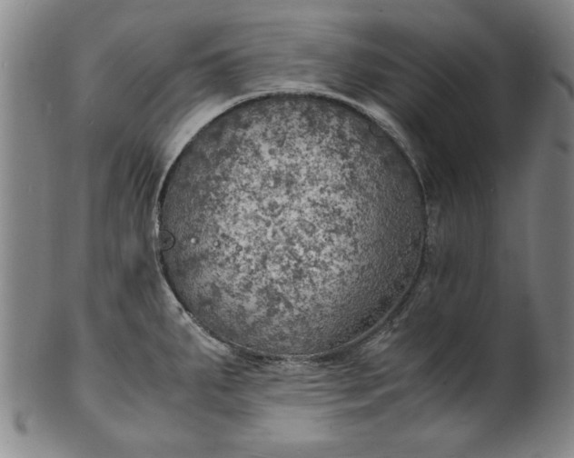 X0000101481287200807211350