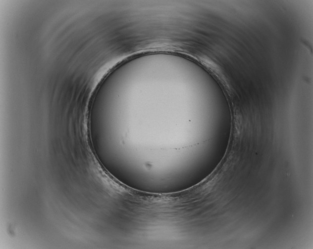 X0000101481288200807211350