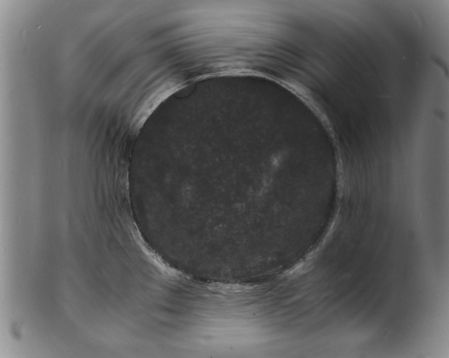 X0000101481289200807211350