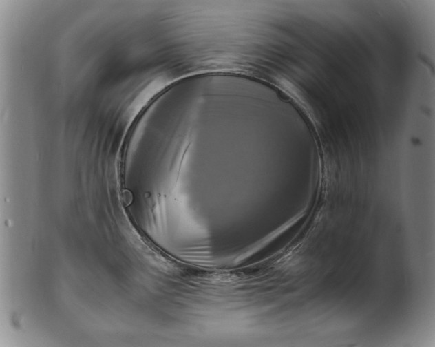 X0000101481291200807211350