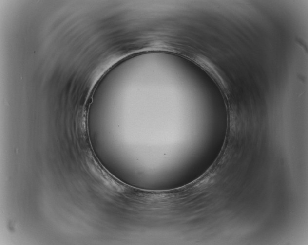 X0000101481292200807211350