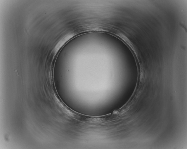 X0000101481293200807211350