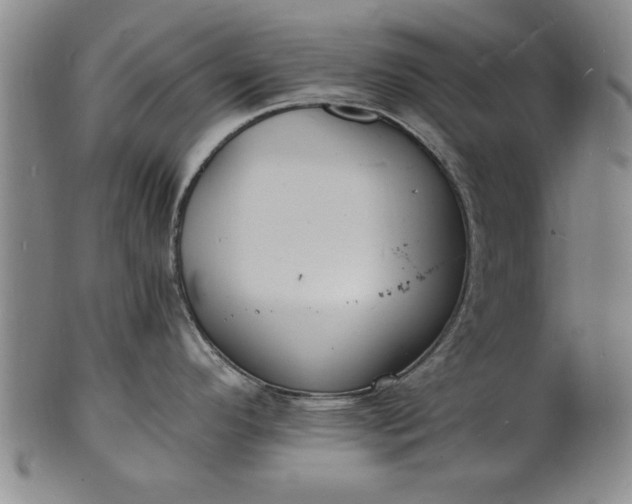 X0000101481296200807211350