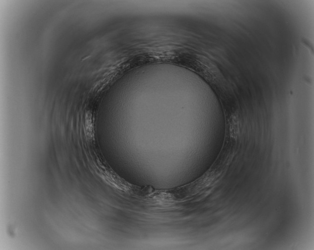 X0000101481298200807211350