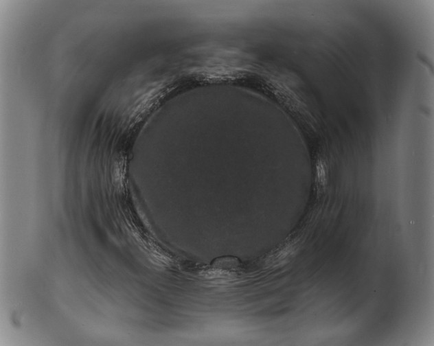 X0000101481300200807211350