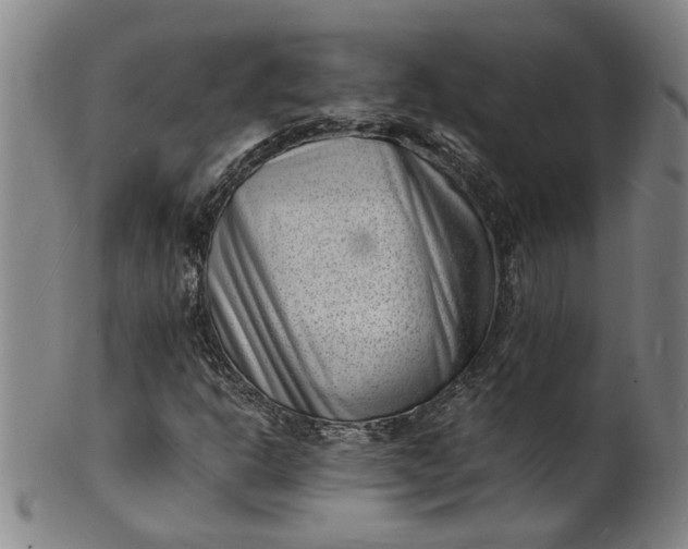 X0000101481302200807211350