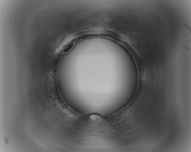 X0000101481304200807211350