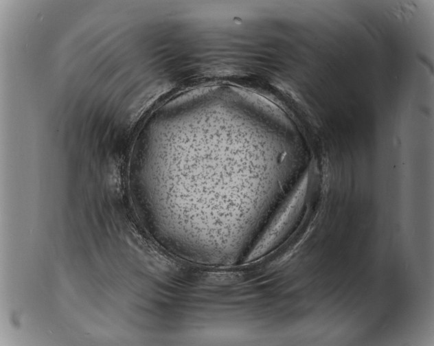 X0000101481305200807211350