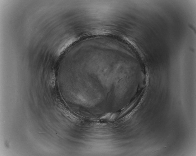 X0000101481306200807211350