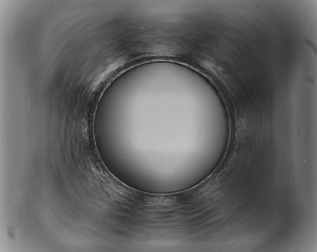 X0000101481307200807211350