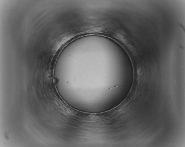 X0000101481308200807211350