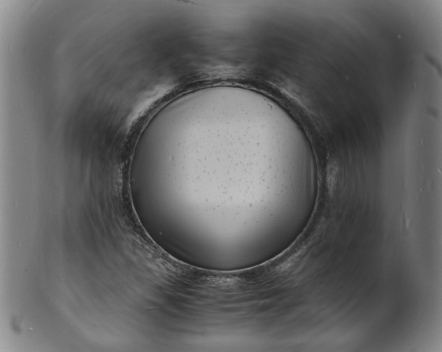 X0000101481309200807211350