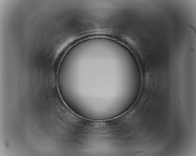 X0000101481310200807211350