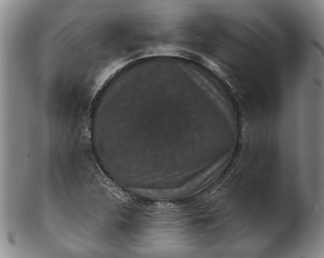 X0000101481312200807211350