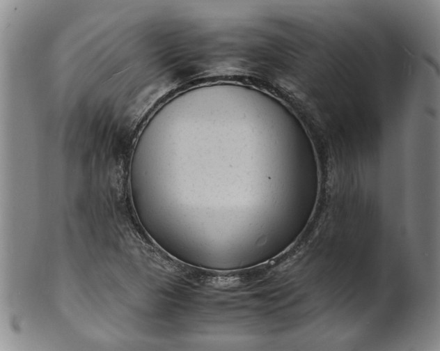 X0000101481313200807211350