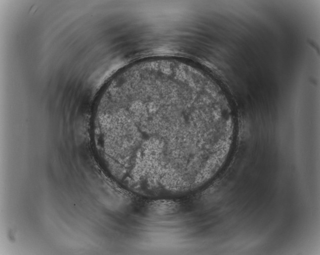 X0000101481314200807211350