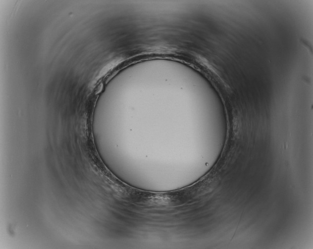 X0000101481315200807211350