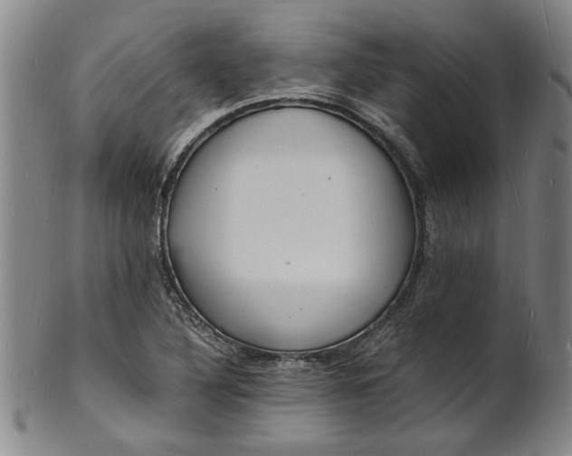 X0000101481316200807211350