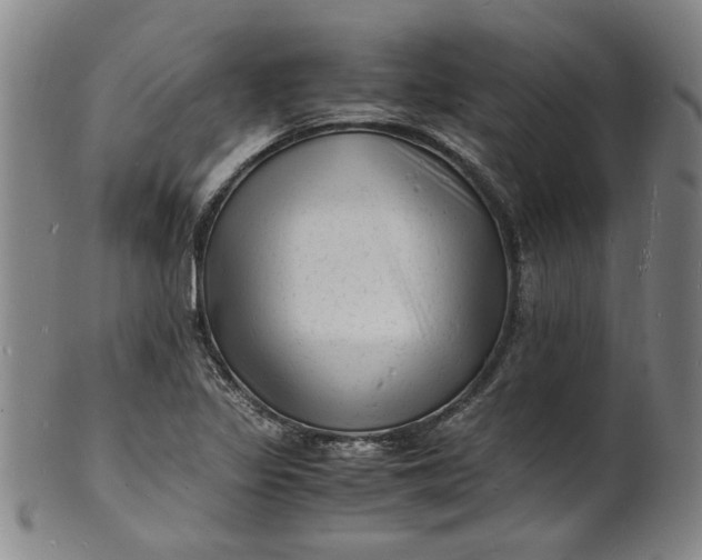 X0000101481317200807211350