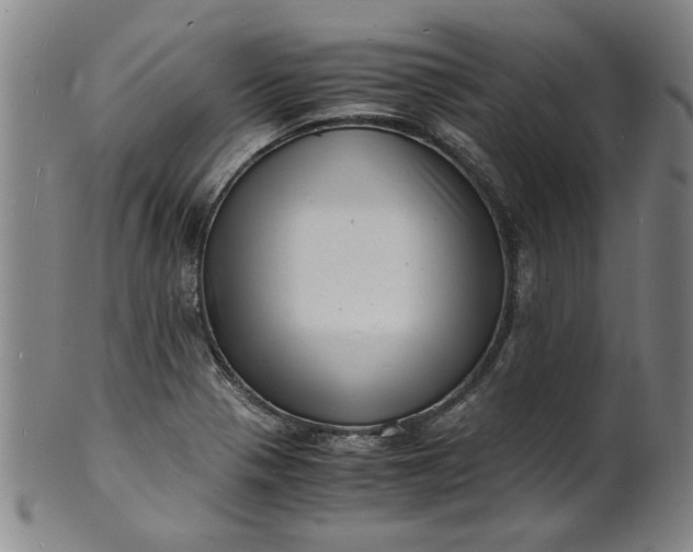 X0000101481321200807211350