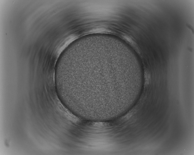 X0000101481322200807211350