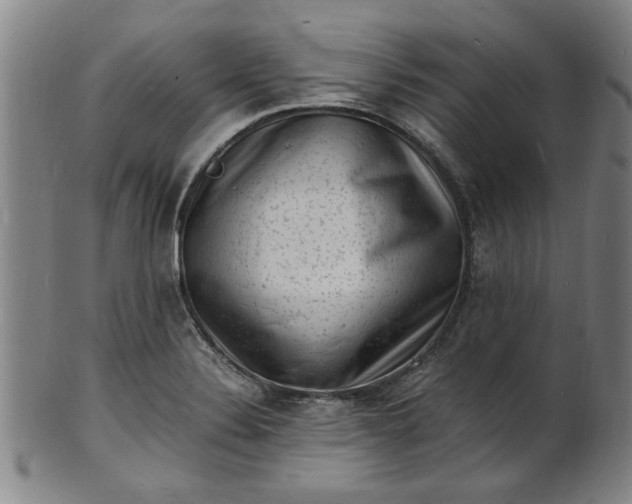 X0000101481324200807211350